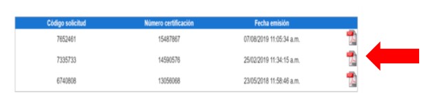 solicitar hoja de delincuencia web paso 10