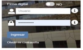 solicitar hoja de delincuencia web paso 4