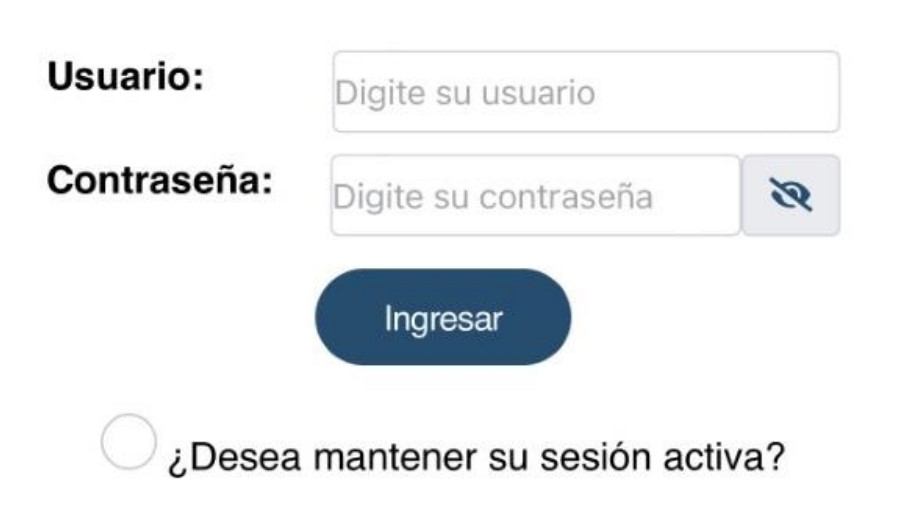 solicitar hoja de delincuencia app paso 4