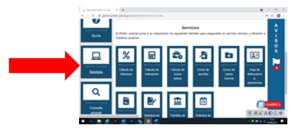 solicitar hoja de delincuencia web paso 5