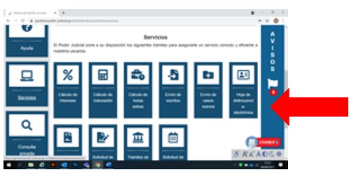 solicitar hoja de delincuencia web paso 6