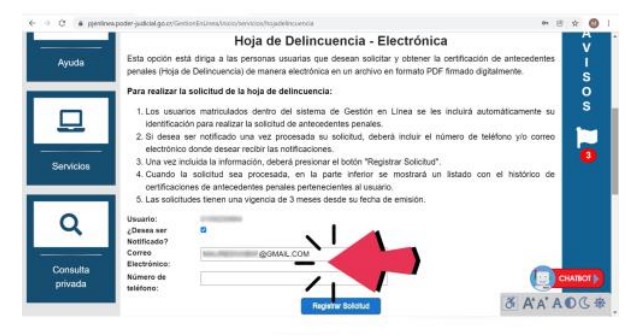 solicitar hoja de delincuencia web paso 7