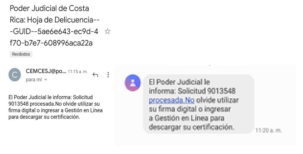 solicitar hoja de delincuencia app paso 7